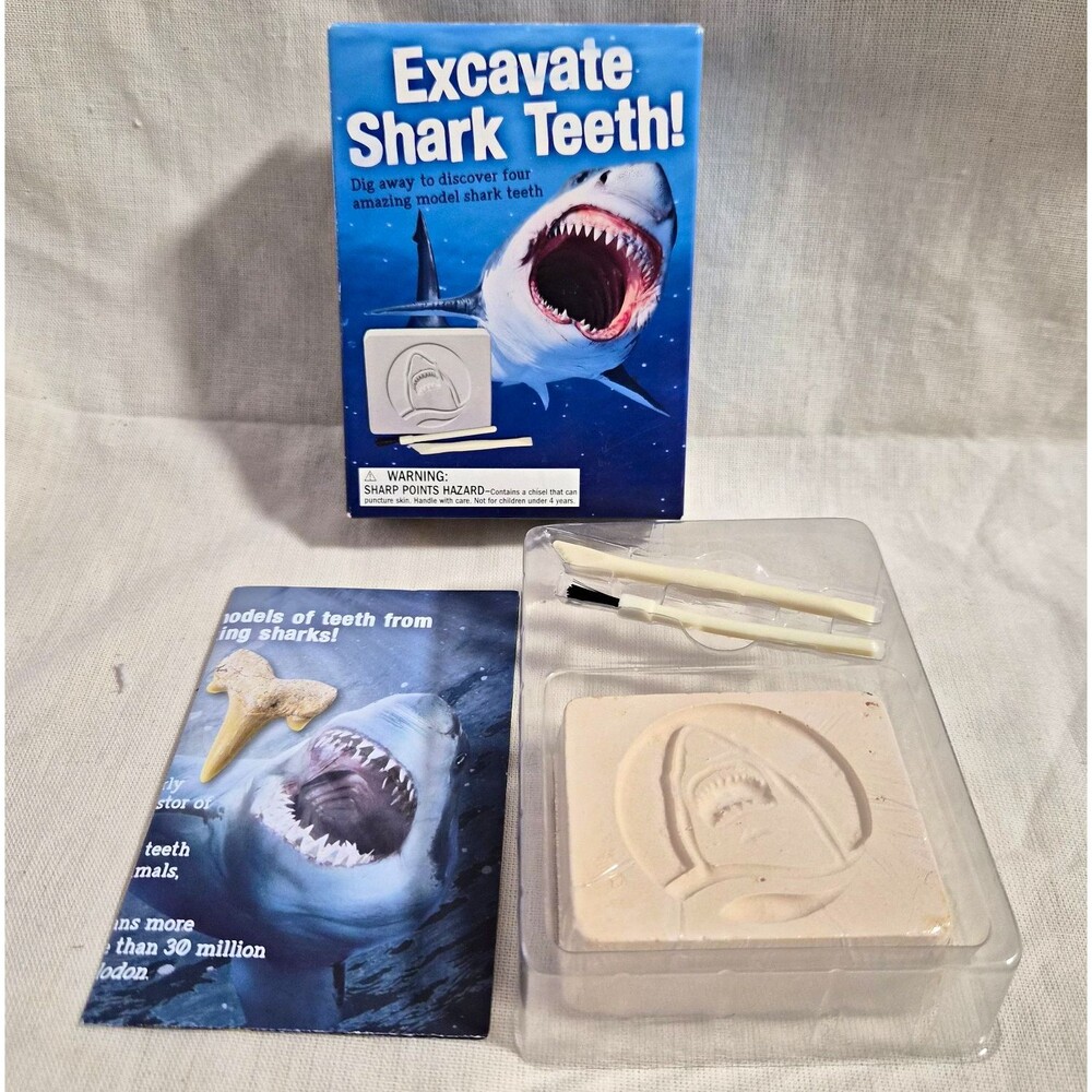Scholastic Excavate Shark Teeth Dig Kit Megalodon Science STEM Craft Activity